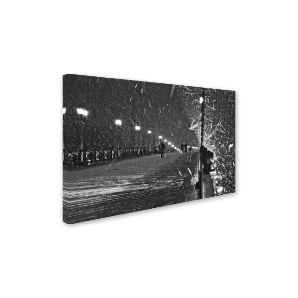 Lyubov Furs 'The Moscow Blizzard' Canvas Art,12x19